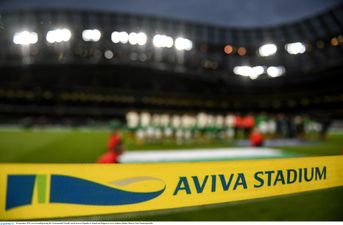 Lansdowne Road DART station will close for Ireland vs Denmark as Euro 2020 preparation