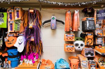 An in-depth review of the Halloween invisibility cloak