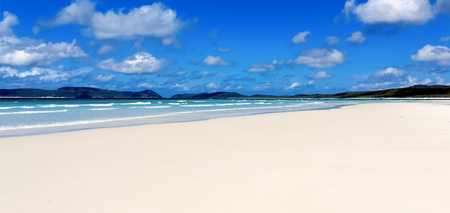 Tourist has foot bitten off and another sustains serious injuries after shark attack in Australia