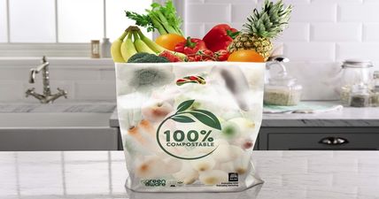 Aldi to scrap 12.5 million plastic bags per year with new eco-friendly paper and compostable bags