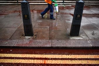 Extinction Rebellion to pour fake blood at entrance of Dublin hotel