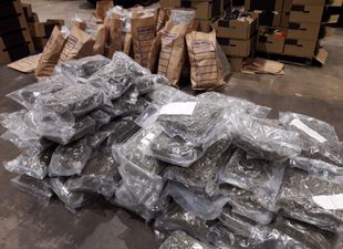 Gardaí in Dundalk seize €3.2million worth of drugs hidden in vegetables
