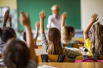 Campaigners against sex education are claiming small children will be taught masturbation in schools