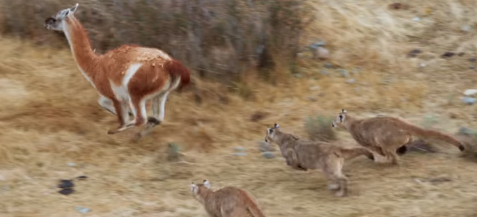 Seven Worlds One Planet