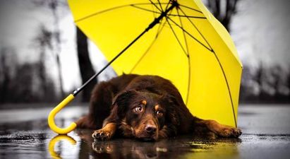 Cold, unsettled and sometimes not-that-cold week on the weather front