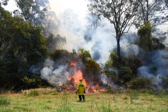 Code red warnings issued as bushfires rage amid hazardous weather conditions in Australia