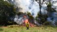 Australian firefighter accused of deliberately starting bushfires