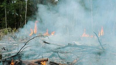Brazil’s President seems to accuse Leonardo DiCaprio of starting the Amazon fires