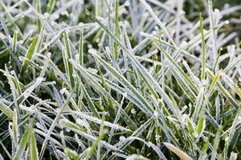 Met Éireann issues wind warning for Donegal ahead of nationwide “freezing fog” next week