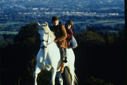 TG4 Christmas movies