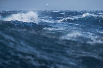 Search stood down for man lost at sea off the Wexford coast