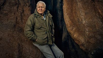 David Attenborough to make a new five-part documentary for the BBC