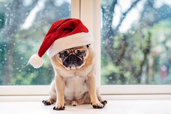 The St. Stephen’s Day weather forecast doesn’t sound great for outdoor activities