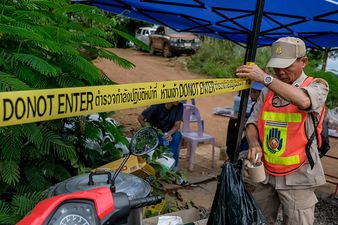 A diver who rescued 12 boys from Thai cave has died
