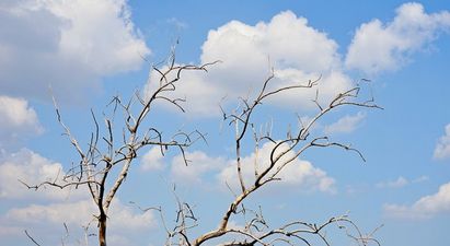 This week’s weather looks… pretty grand, actually