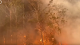 WATCH: Thermal camera reveals horrific extent of Australian fires
