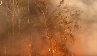 WATCH: Thermal camera reveals horrific extent of Australian fires