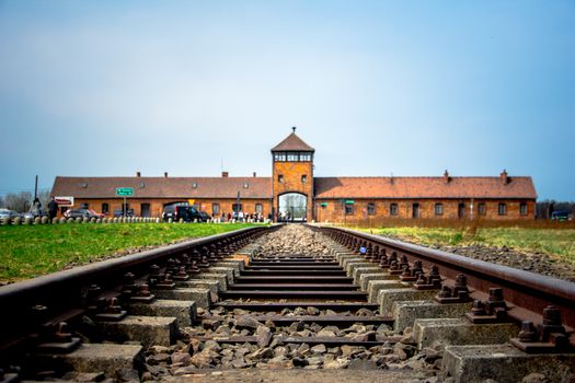 Auschwitz John Boyne