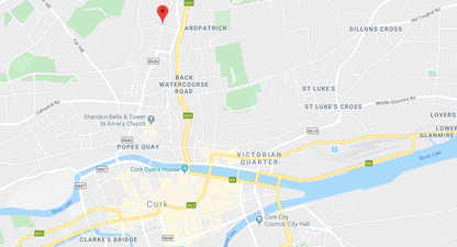 Two men arrested after serious assault in Cork