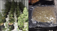 Grow house with €100,000 worth of cannabis herb found in Monaghan