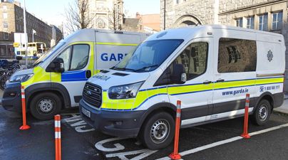 Gardaí to use spit hoods on suspects to protect themselves from Covid-19