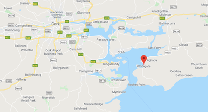Man dies after farming accident in Cork