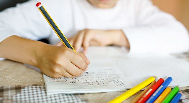 Green Party primary school homework