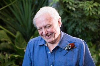 Tiger Woods, Robin Williams & David Attenborough documentaries on the way as Sky launch two brand new channels