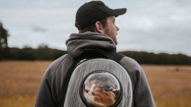 irish hip hop homeless