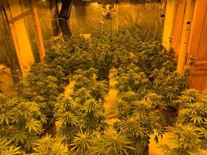 Five arrested following separate drug seizures in Connacht