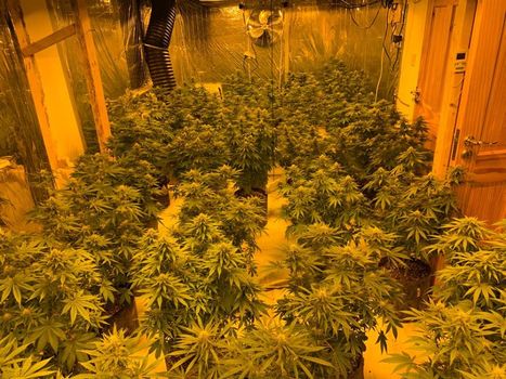 Connacht drug seizure