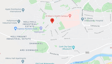 Teenage girl dies in fatal road traffic collision in Cork