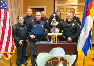 A very good dog has been voted honorary mayor of a town in Colorado