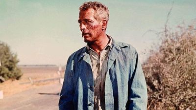 Here are the 10 best movies on TV this St. Patrick’s Day