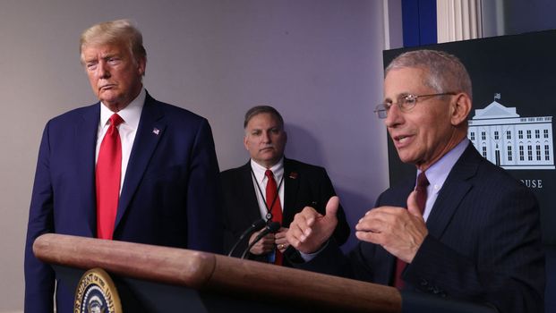 trump fauci