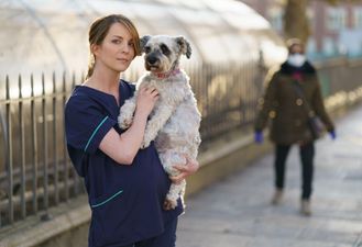 Dogs Trust Ireland offering temporary foster care for the dogs of frontline workers