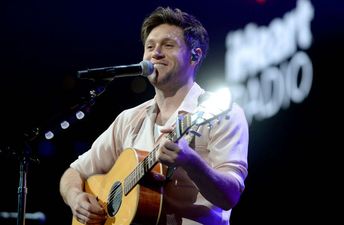 Niall Horan “stans” target Dustin the Turkey and Ray D’Arcy online