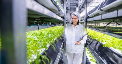 Why precision nutrition could influence what the farm of 2050 looks like