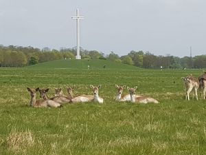 Phoenix Park closed off by Gardaí after attempted protest