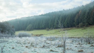 It’s set to get significantly cooler for a time next week