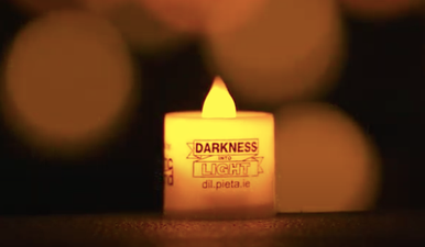 Late Late Show viewers raised €2 million for Pieta House during Friday’s show