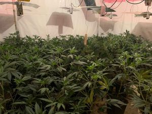 Gardaí find €333,000 worth of drugs across eight properties in Mayo