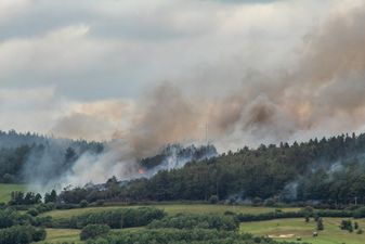 Status Red fire warning issued due to extreme forest fire risk over Bank Holiday weekend