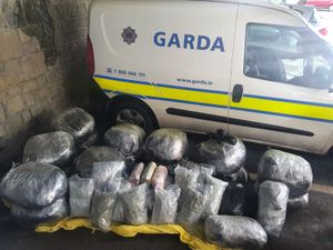 €3.9 million worth of cannabis seized in Laois