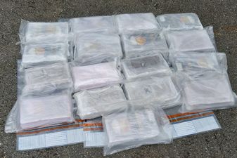 Two men arrested following €1.2 million cocaine seizure in Meath