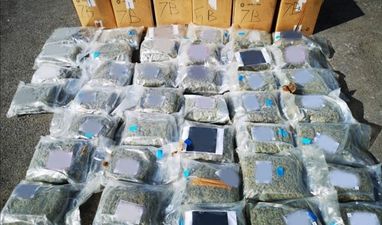 Man arrested as €800,000 worth of cannabis seized by Gardaí