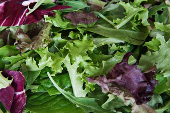 Irish mixed salad leaves product recalled due to possible presence of Cryptosporidium