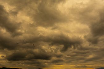 Met Éireann issues thunderstorm warning for Munster