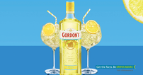 Calling all gin lovers: Gordons Gin are bringing a slice of Sicily to Ireland, Introducing the New Gordons Sicilian Lemon