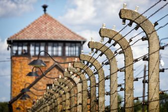 23% of American adults believe the Holocaust was a myth